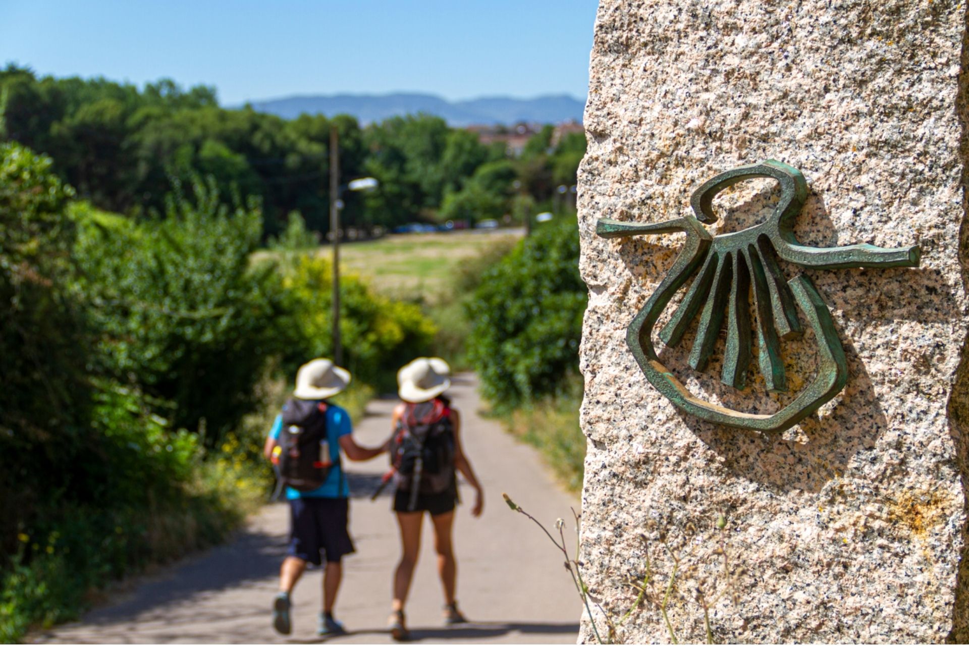 Camino de Santiago